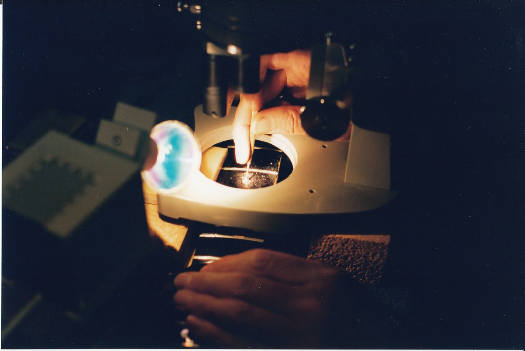 Red Special dot work #2