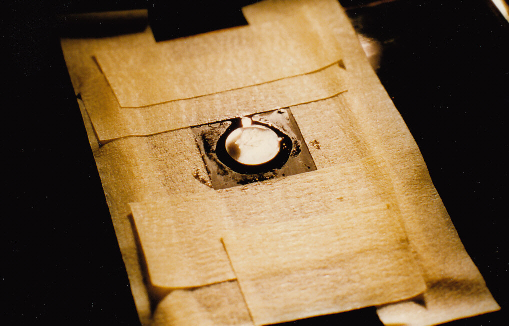 5th fret new dot glued in